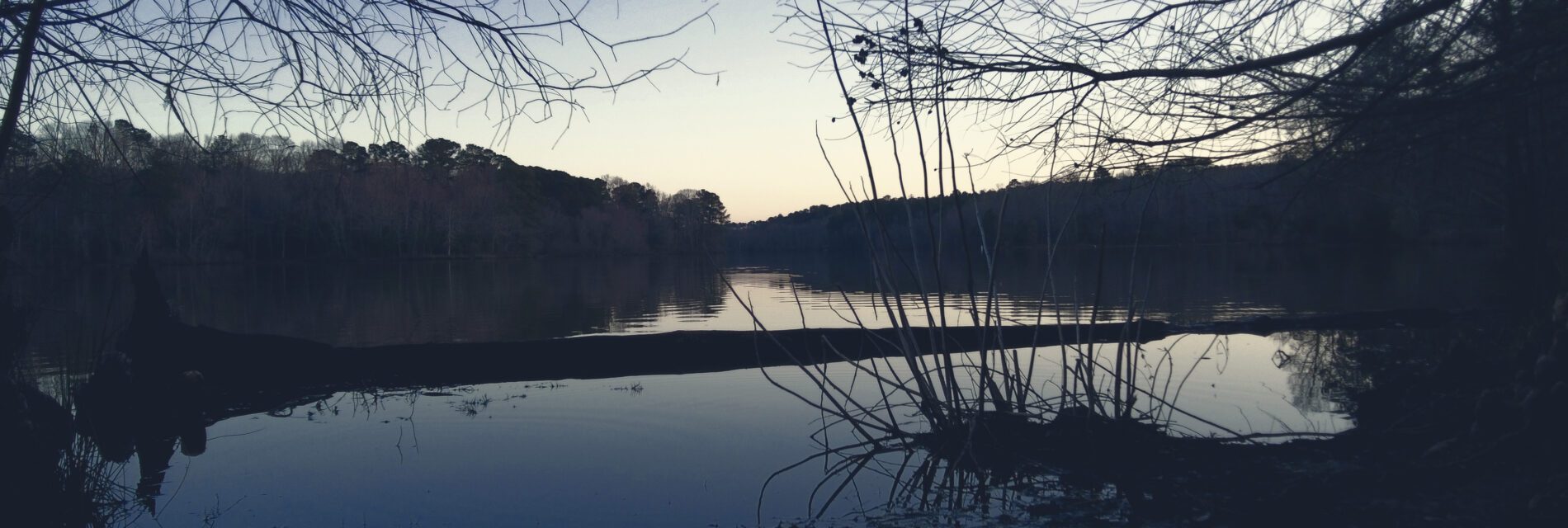 Team Leads Media Picture Editing lake